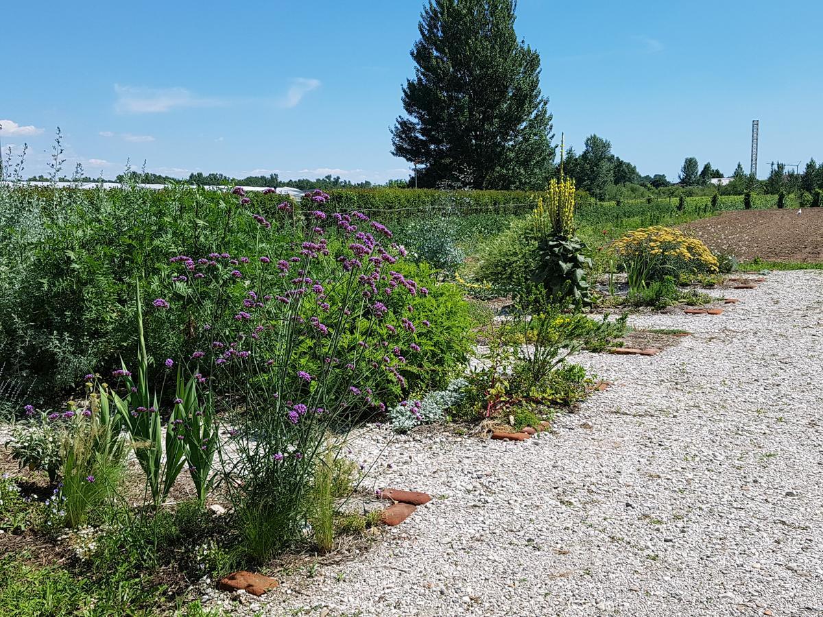 Vila Agriturismo Frascje Dai Spadons Pradamano Exteriér fotografie